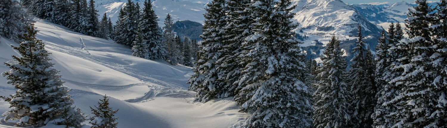 Zwitserland ski-gebied sneeuw sporen