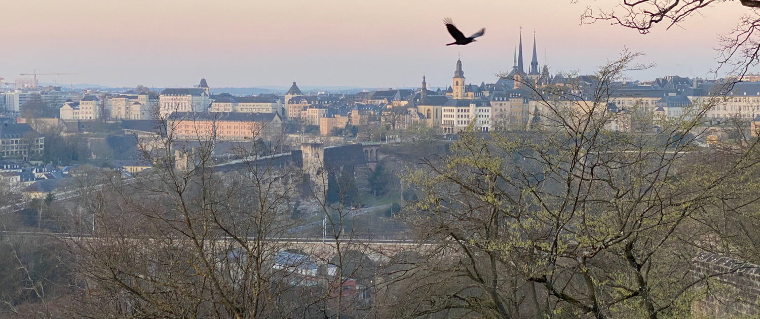 Uitzicht 's ochtends over Luxemburg stad