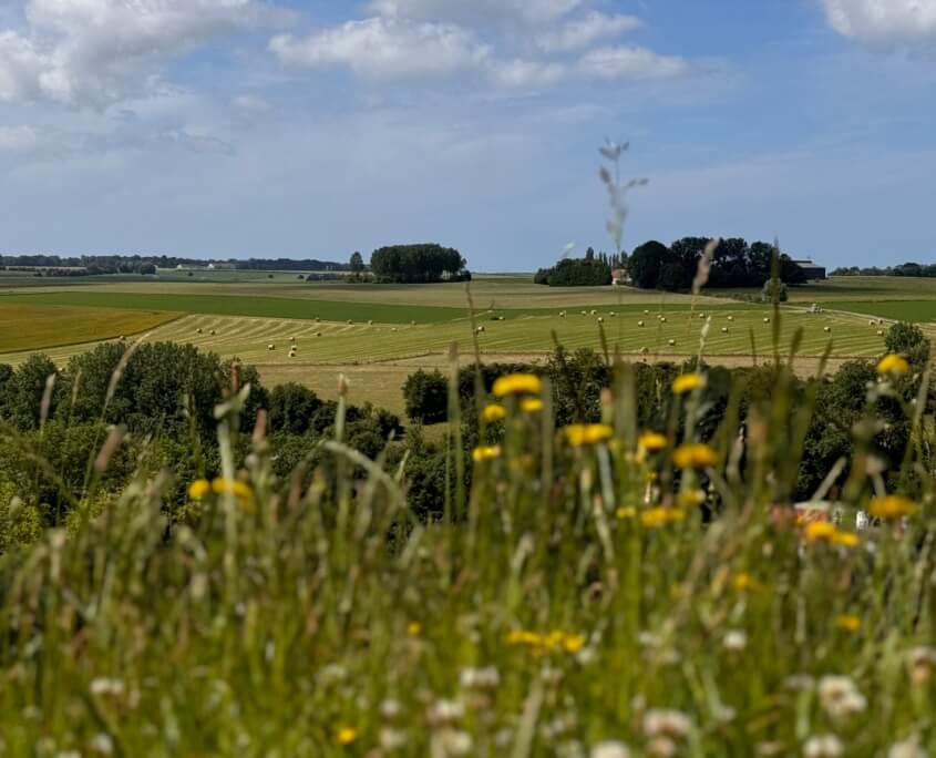 De prachtige weidse omgeving in de buurt van Beaurainville